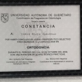 Ampliar imagen: certificate 9