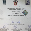 Ampliar imagen: certificate 7
