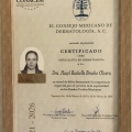 Ampliar imagen: certificate 1
