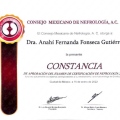 Ampliar imagen: certificate 4