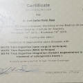 Ampliar imagen: certificate 4