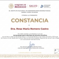Ampliar imagen: certificate 11