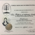 Ampliar imagen: certificate 12