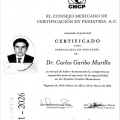 Ampliar imagen: certificate 11