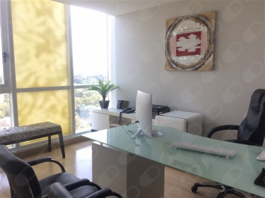 Diana Victoria Chávez Moreno-10