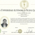 Ampliar imagen: certificate 5