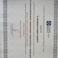 Ampliar imagen: certificate 7