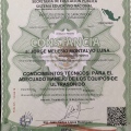 Ampliar imagen: certificate 3
