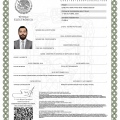 Ampliar imagen: certificate 10
