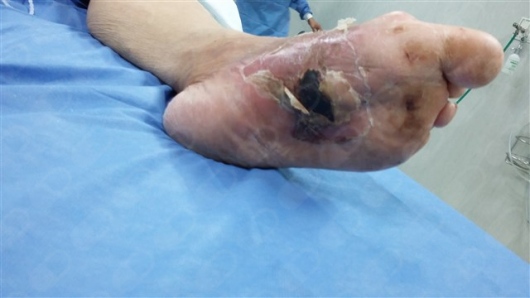 Rosa Maria Carreon Bringas-8