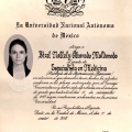 Ampliar imagen: certificate 6