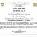 Ampliar imagen: certificate 31