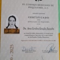 Ampliar imagen: certificate 3