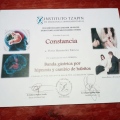 Ampliar imagen: certificate 31