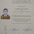 Ampliar imagen: certificate 2