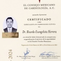 Ampliar imagen: certificate 11
