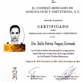 Ampliar imagen: certificate 1