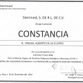 Ampliar imagen: certificate 8