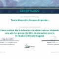 Ampliar imagen: certificate 12