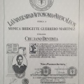 Ampliar imagen: certificate 15