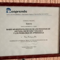 Ampliar imagen: certificate 7