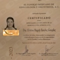 Ampliar imagen: certificate 1