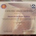 Ampliar imagen: certificate 10