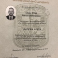 Ampliar imagen: certificate 2