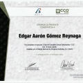 Ampliar imagen: certificate 15
