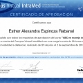 Ampliar imagen: certificate 30