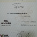 Ampliar imagen: certificate 13