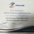 Ampliar imagen: certificate 7