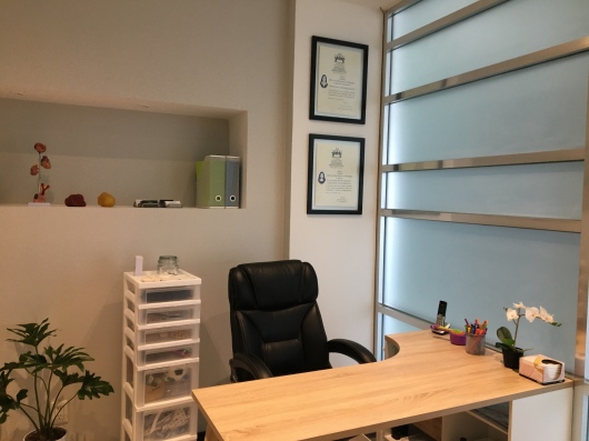 Diana Ruiz De Santiago Y Nevárez-0