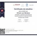 Ampliar imagen: certificate 3