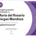 Ampliar imagen: certificate 3