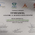 Ampliar imagen: certificate 7
