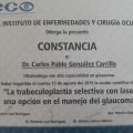 Ampliar imagen: certificate 6