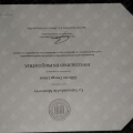 Ampliar imagen: certificate 2