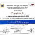 Ampliar imagen: certificate 4