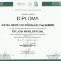 Ampliar imagen: certificate 3