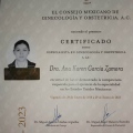 Ampliar imagen: certificate 2