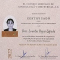 Ampliar imagen: certificate 2