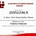 Ampliar imagen: certificate 5