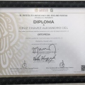 Ampliar imagen: certificate 7