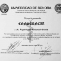 Ampliar imagen: certificate 4