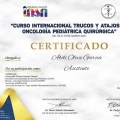 Ampliar imagen: certificate 7