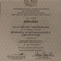 Ampliar imagen: certificate 7