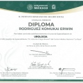 Ampliar imagen: certificate 4