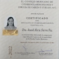 Ampliar imagen: certificate 3