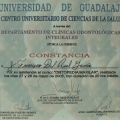 Ampliar imagen: certificate 53